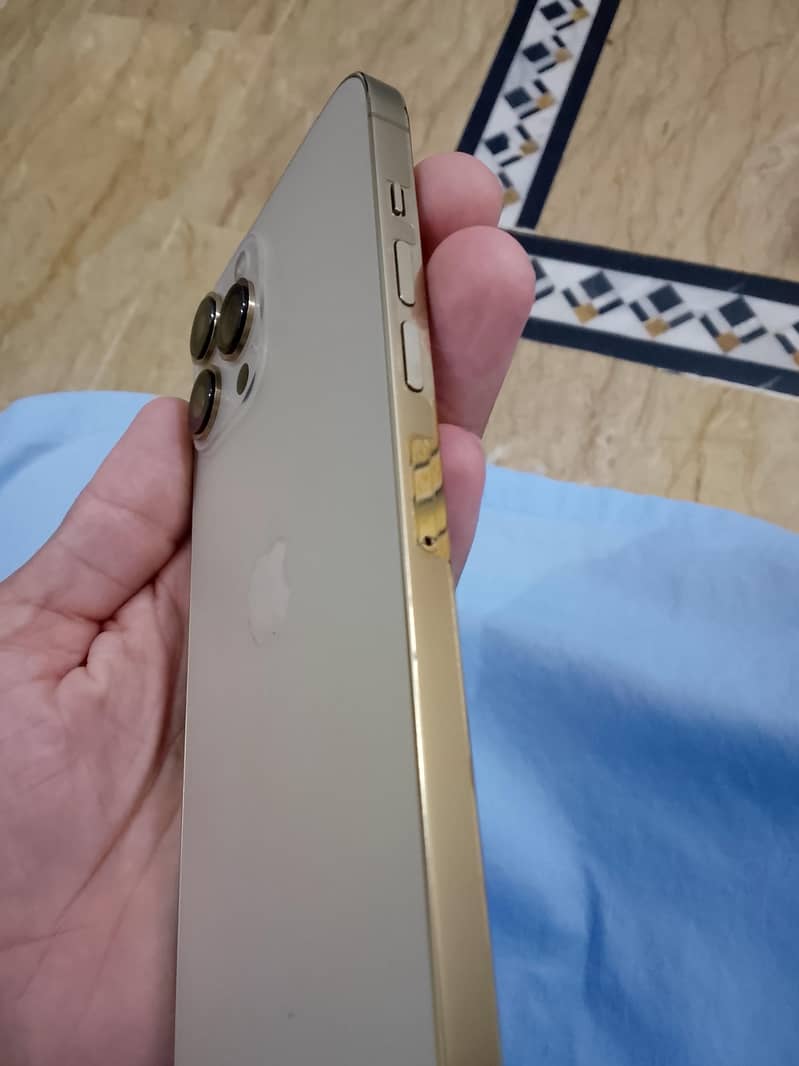 Apple iPhone 13 Pro Max 1