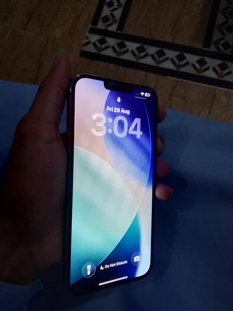 Apple iPhone 13 Pro Max 2
