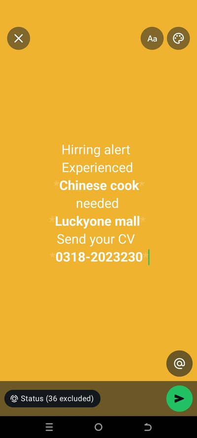 Chinese cook