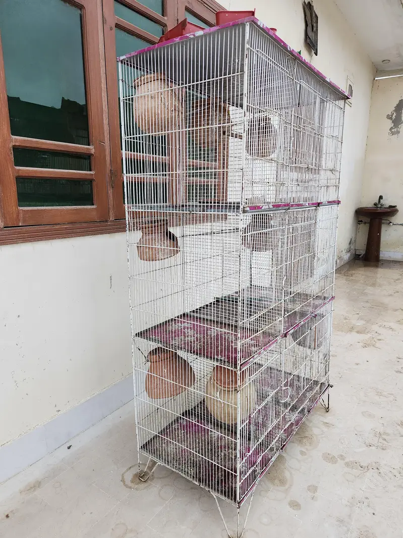 9 Portions Pinjra (Cage) For Sale — photo 2