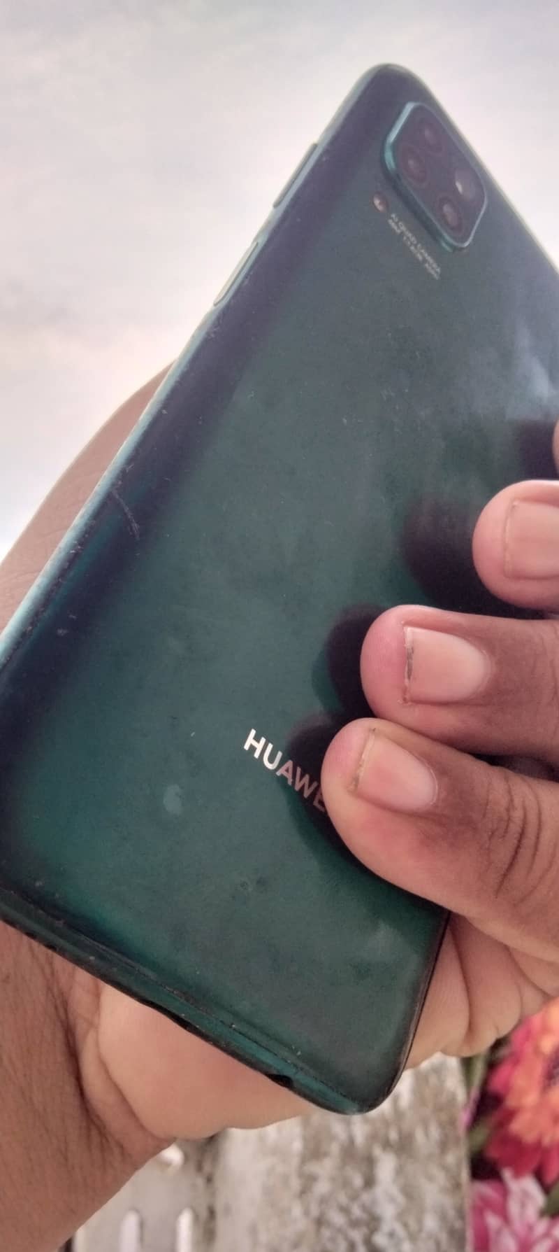 P40 lite 1