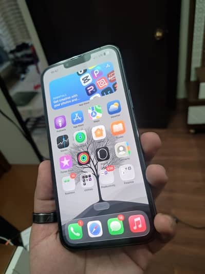 Apple iPhone 13 Pro Max