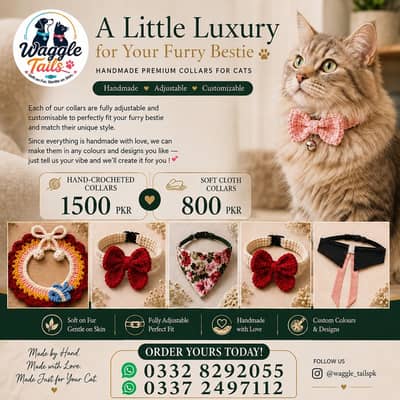 Handmade Premium Cat Collars | Adjustable & Customizable