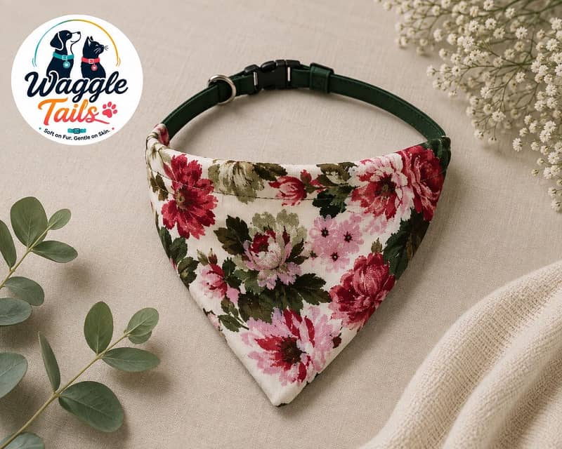 Handmade Premium Cat Collars | Adjustable & Customizable 1