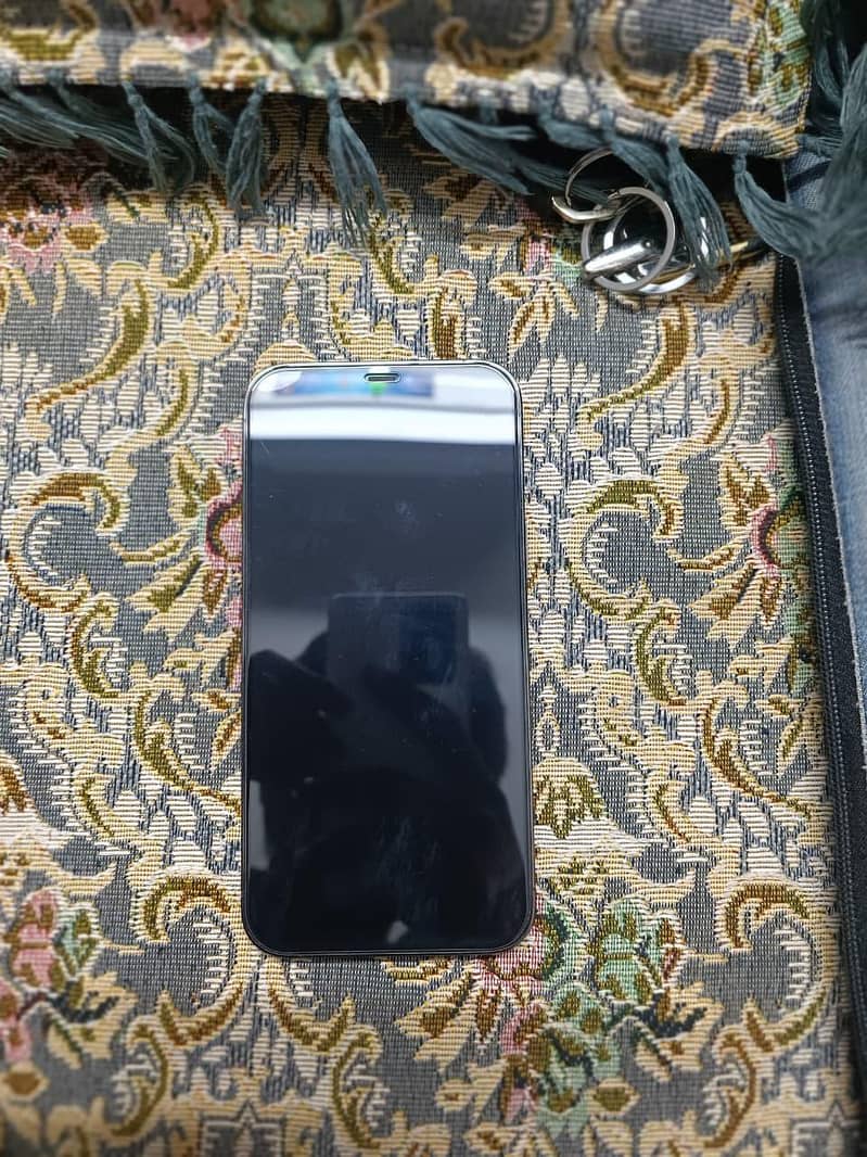 Apple iPhone 12 Pro Max 4