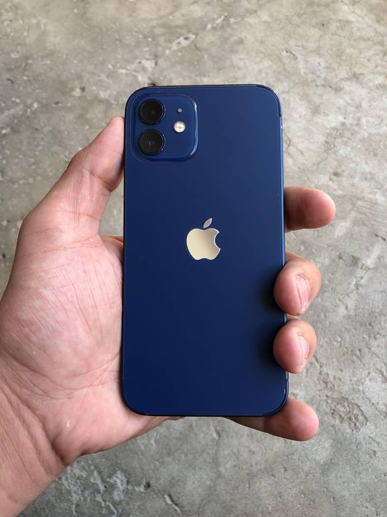 Apple iPhone 12 1