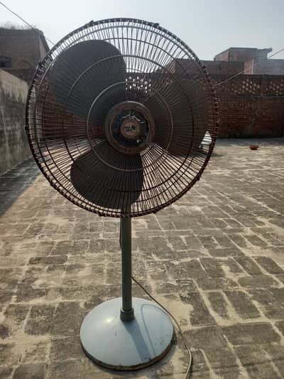 pak pedestal fans
