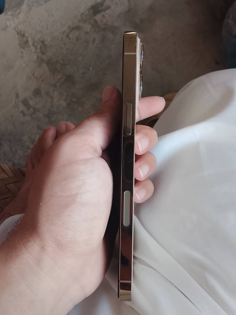 Apple iPhone 13 Pro Max 1