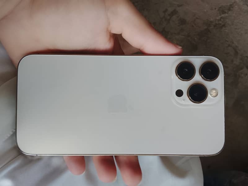Apple iPhone 13 Pro Max 2