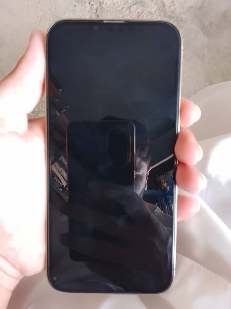 Apple iPhone 13 Pro Max 4