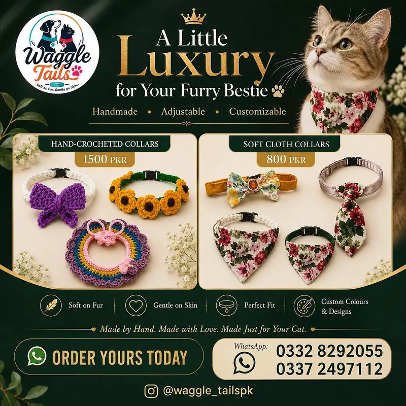 Handmade Premium Cat Collars | Adjustable & Customizable