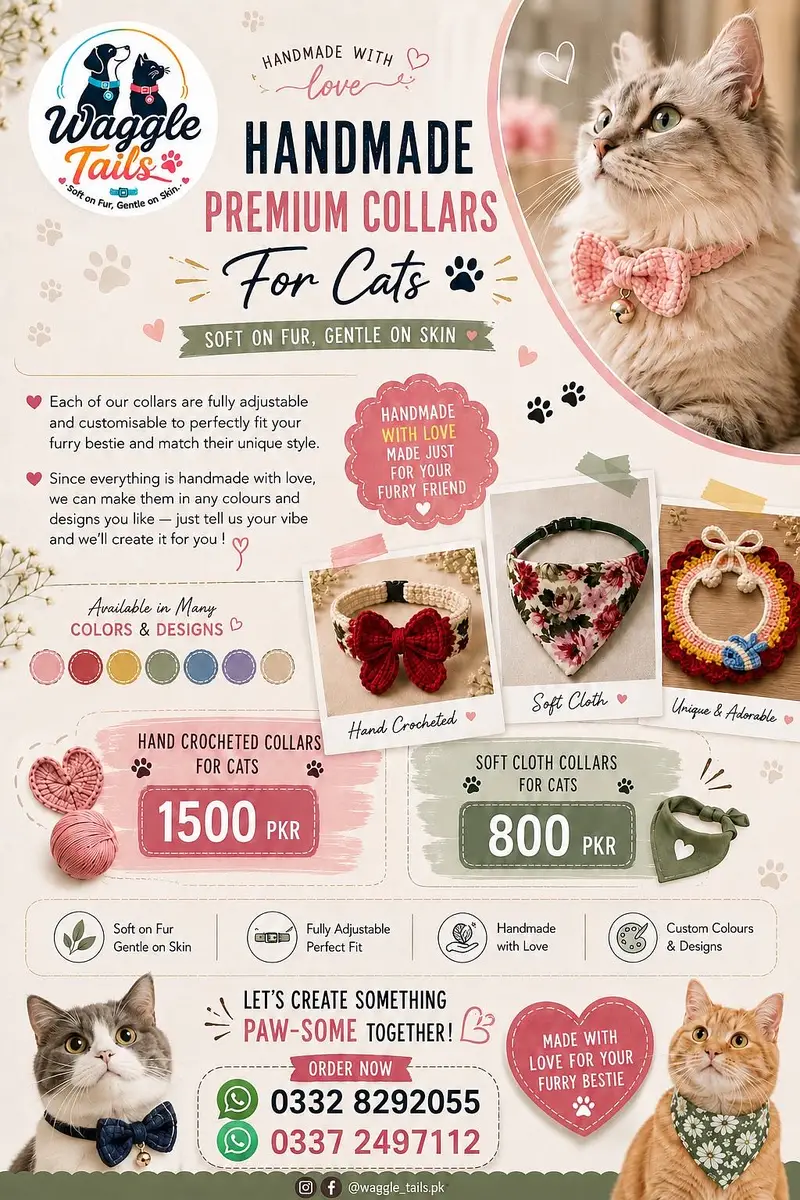 Handmade Premium Cat Collars | Adjustable & Customizable — photo 5