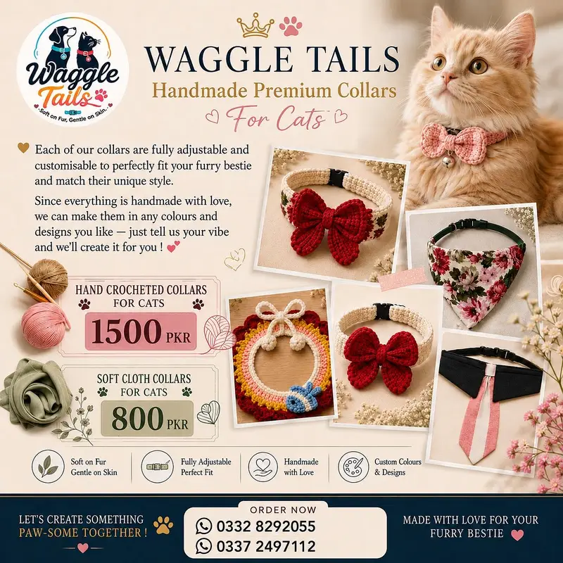 Handmade Premium Cat Collars | Adjustable & Customizable — photo 7