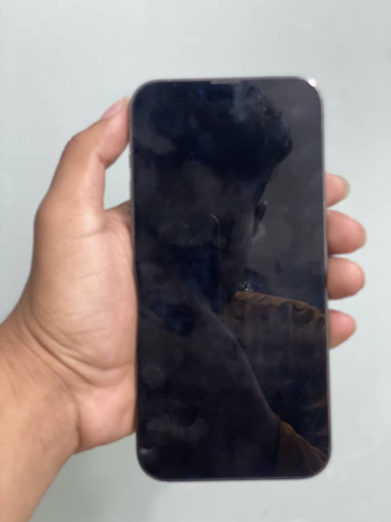 Apple iPhone 13 Pro Max 6