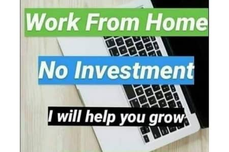 assignment work without investment