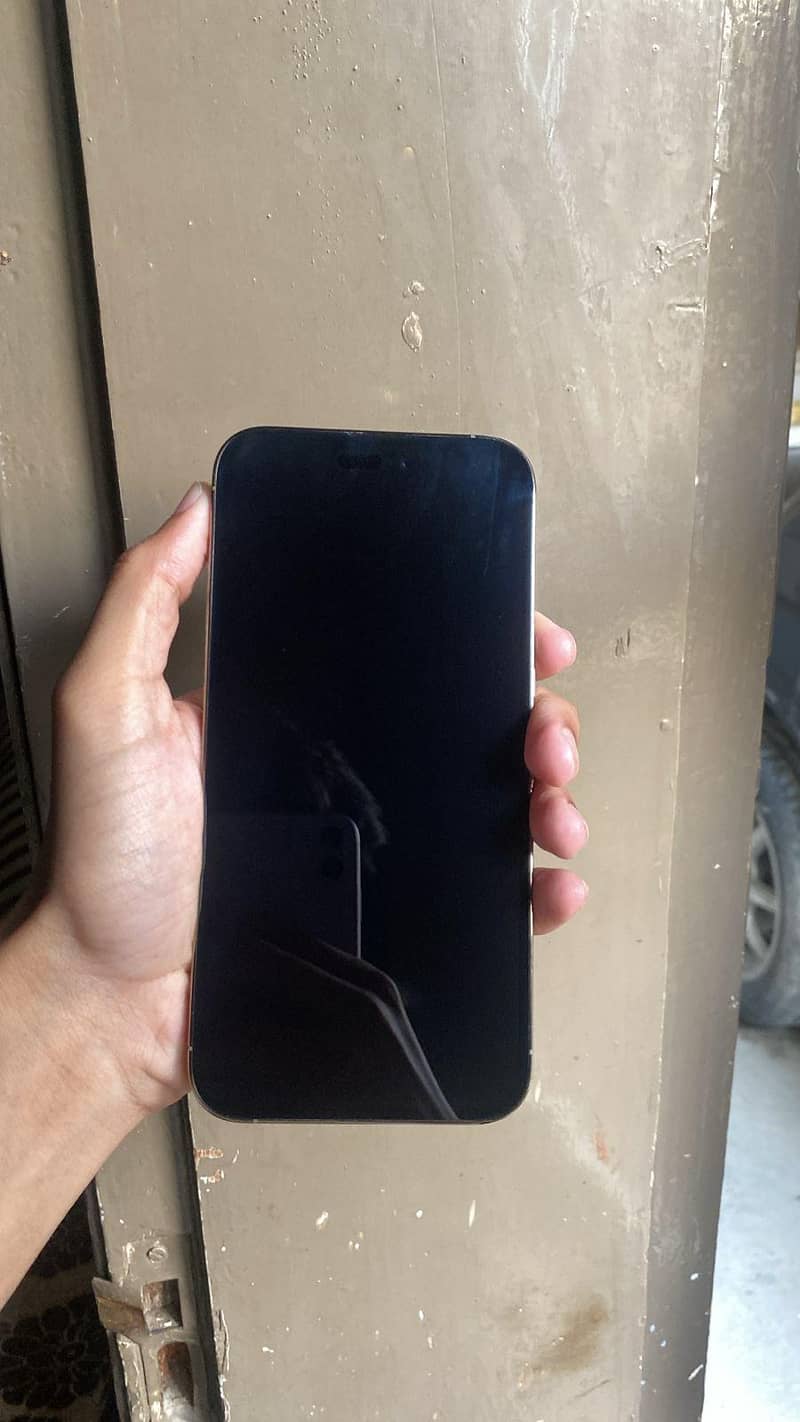Apple iPhone 14 Pro Max 3