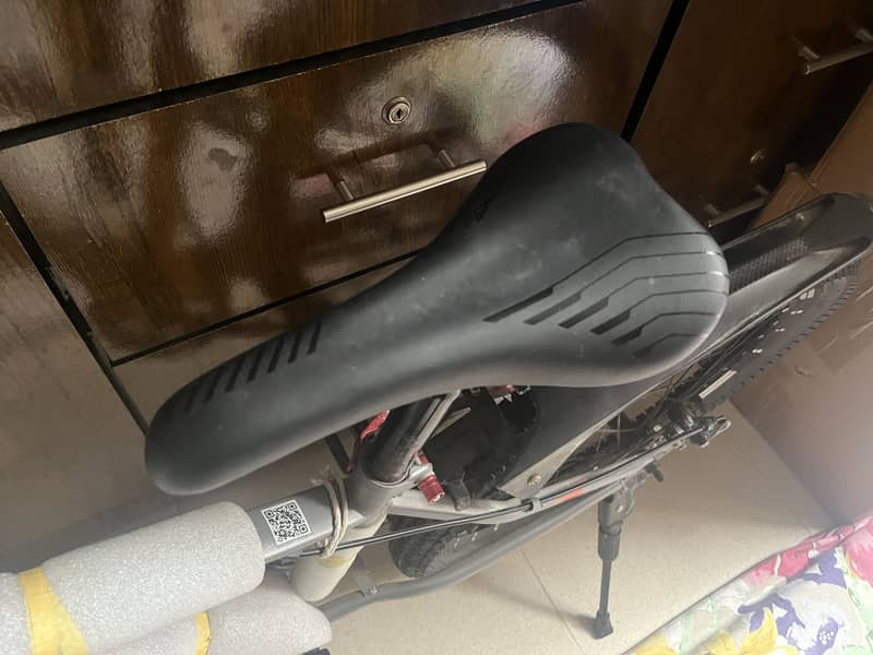 BDF bicycle 2