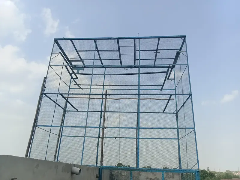 کبوتروں کا جال