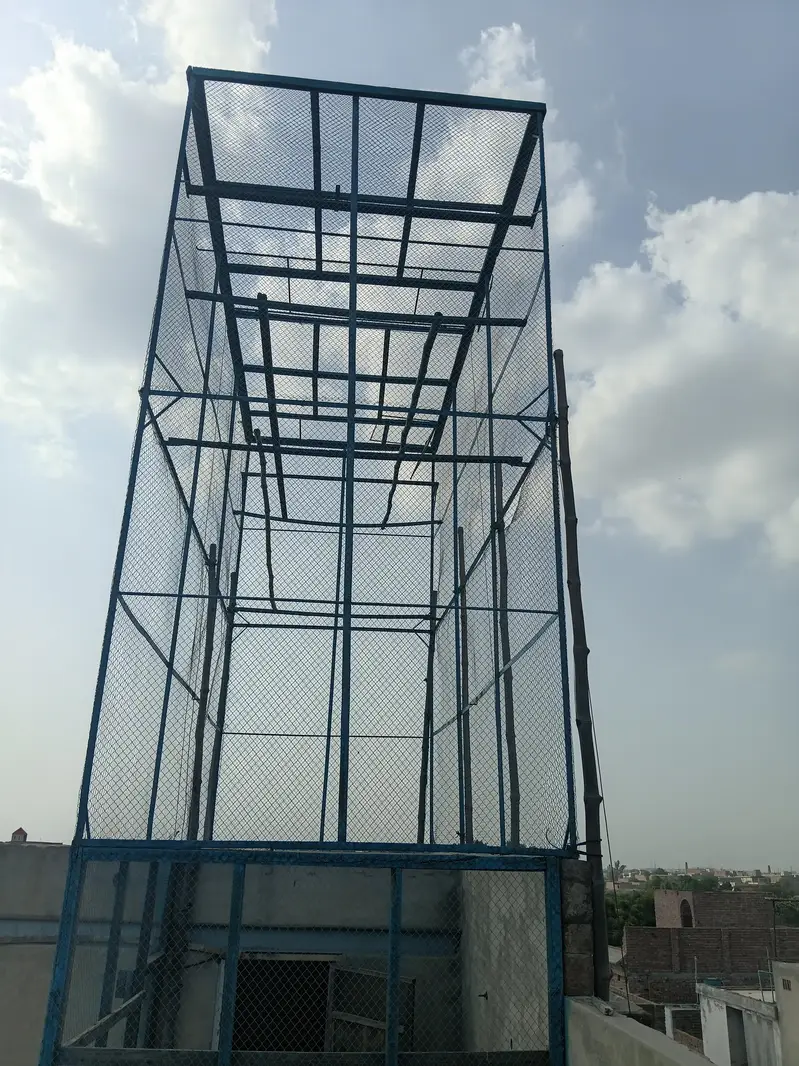 کبوتروں کا جال — photo 2