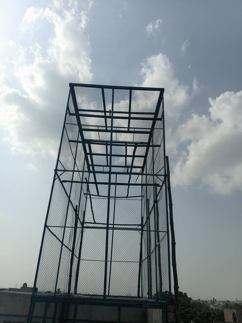 کبوتروں کا جال 2