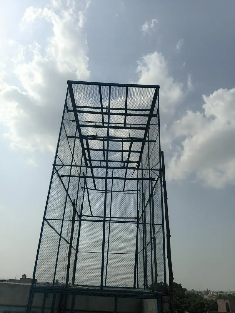 کبوتروں کا جال — photo 3