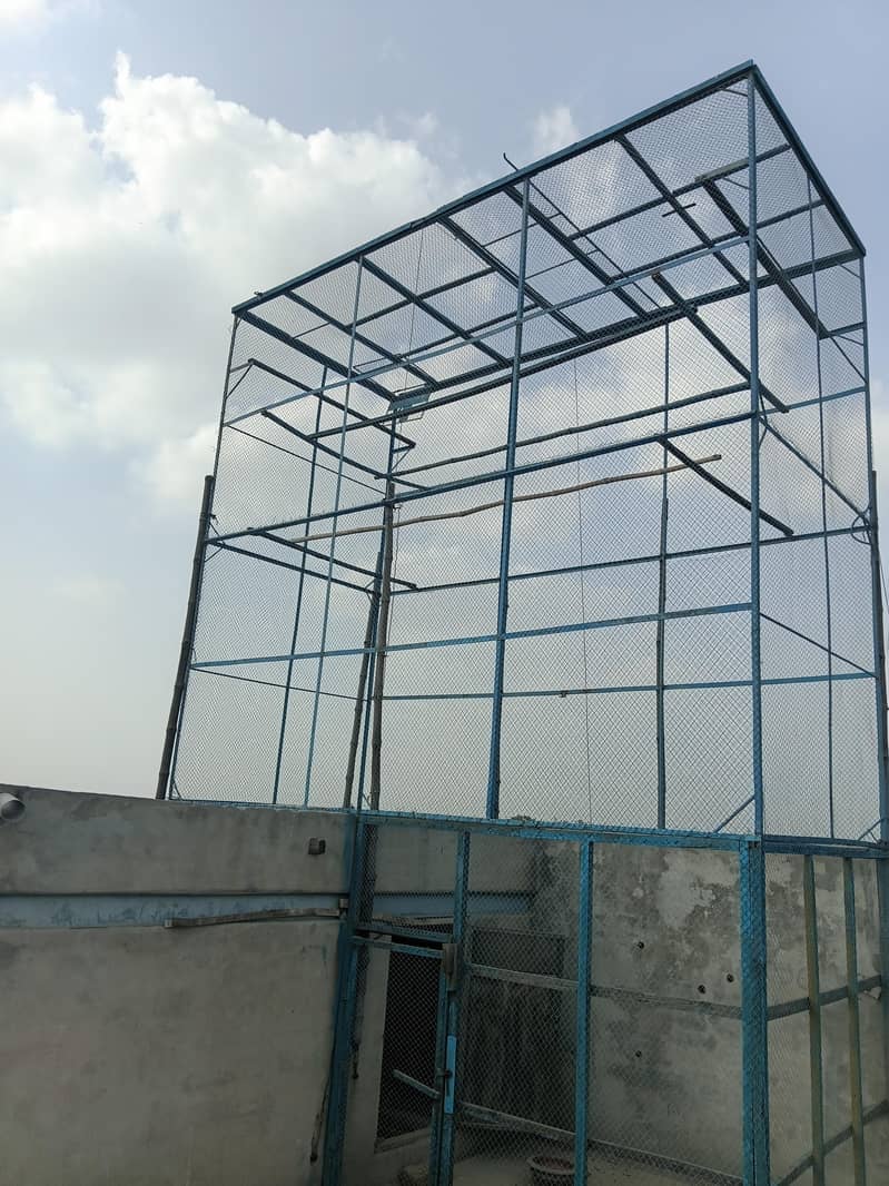 کبوتروں کا جال 3