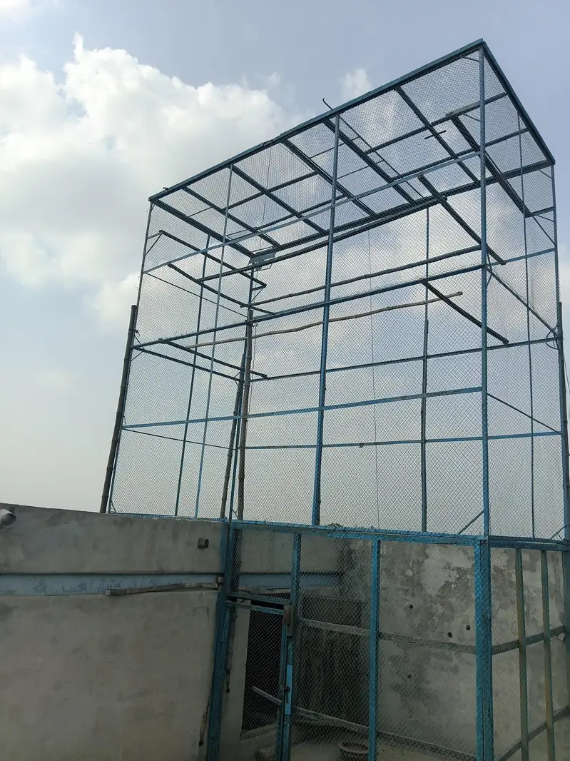 کبوتروں کا جال — photo 4