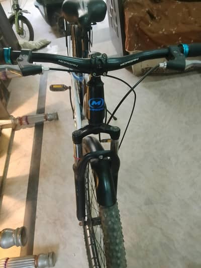 mountain bicycle