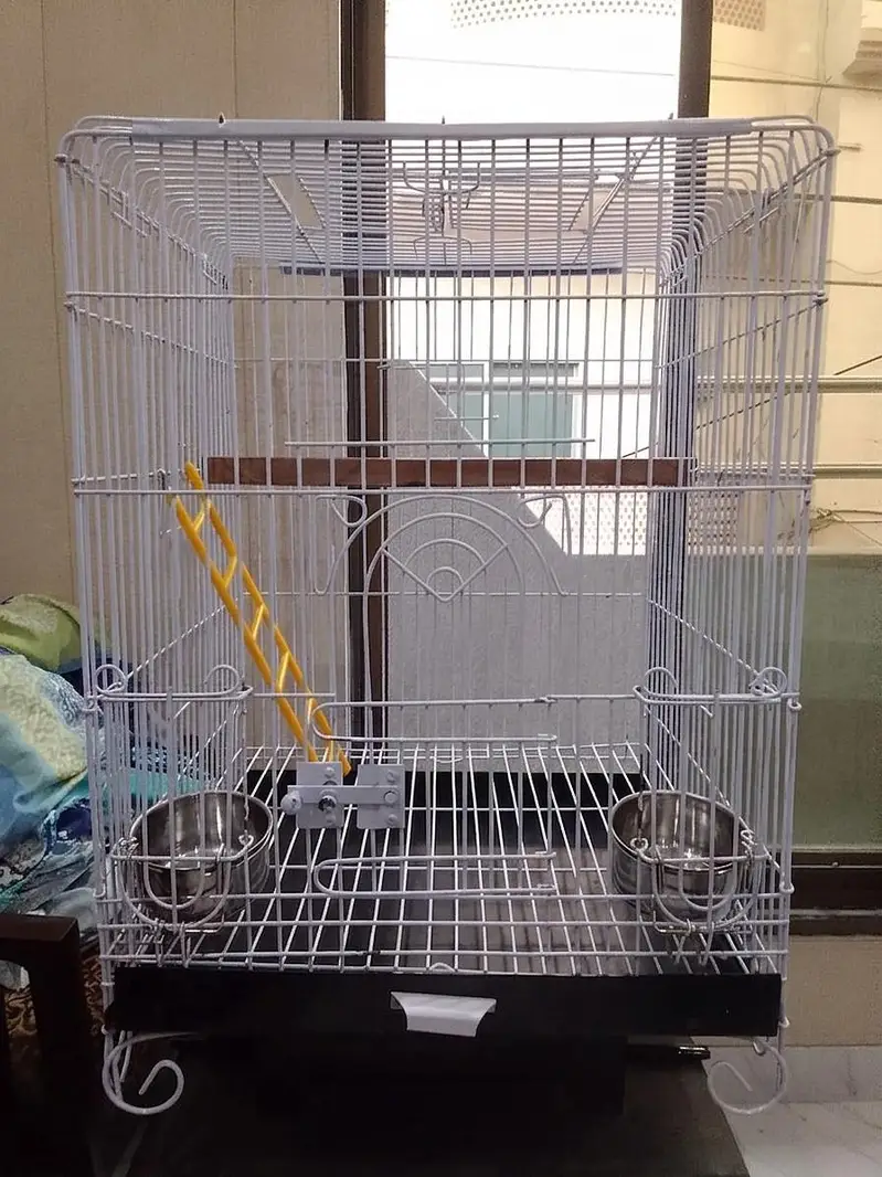 Large Clean Bird Cage in Excellent Condition – Ready for Use