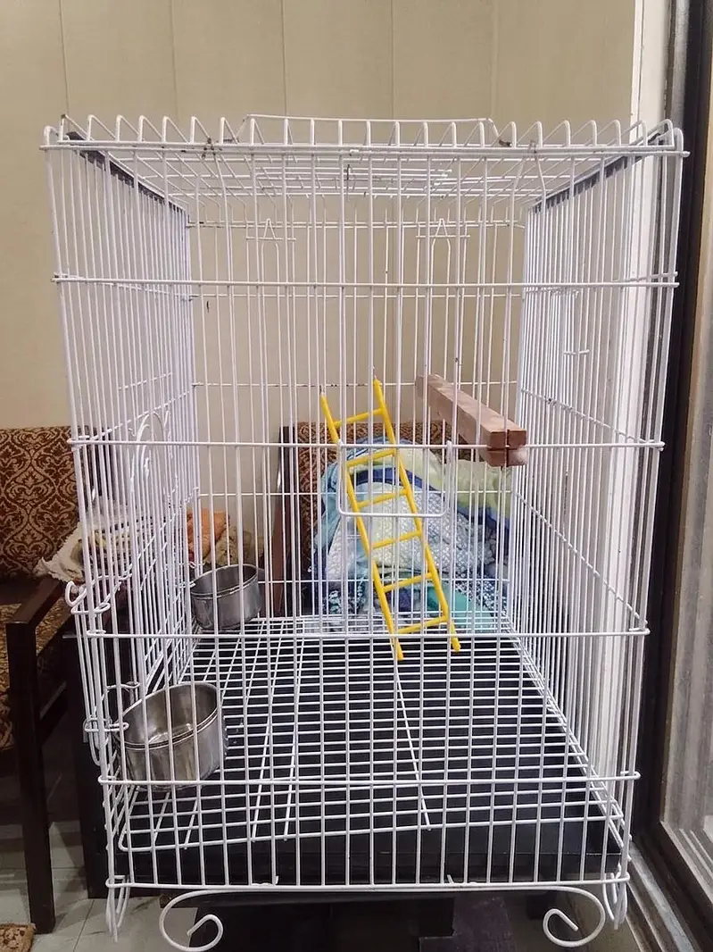 Large Clean Bird Cage in Excellent Condition – Ready for Use — photo 2