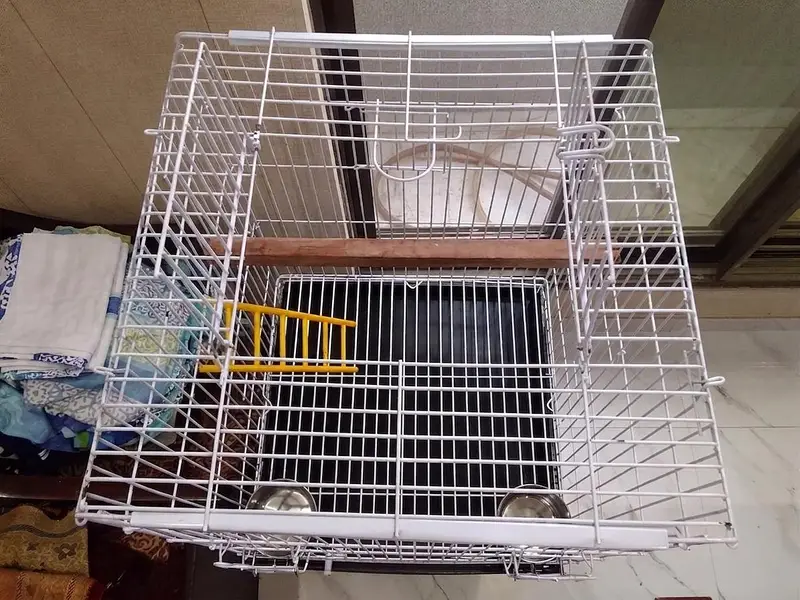 Large Clean Bird Cage in Excellent Condition – Ready for Use — photo 3