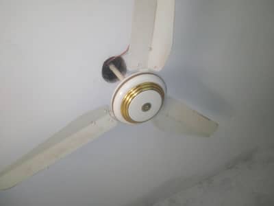 New celling fan for sale .