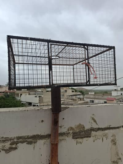 chatri Daba for pigeon training