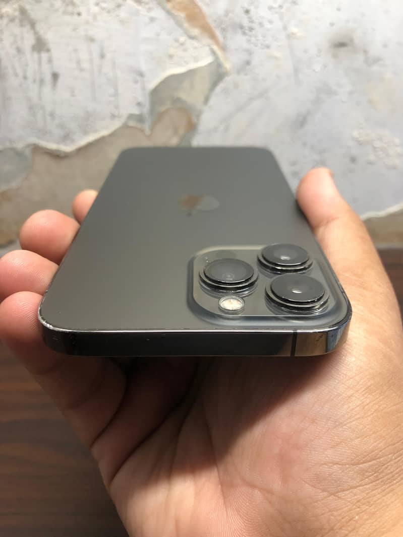 Apple iPhone 13 Pro Max 1