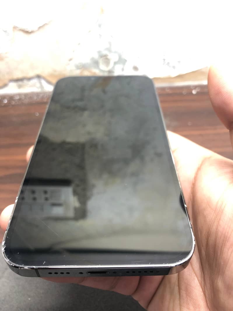 Apple iPhone 13 Pro Max 9