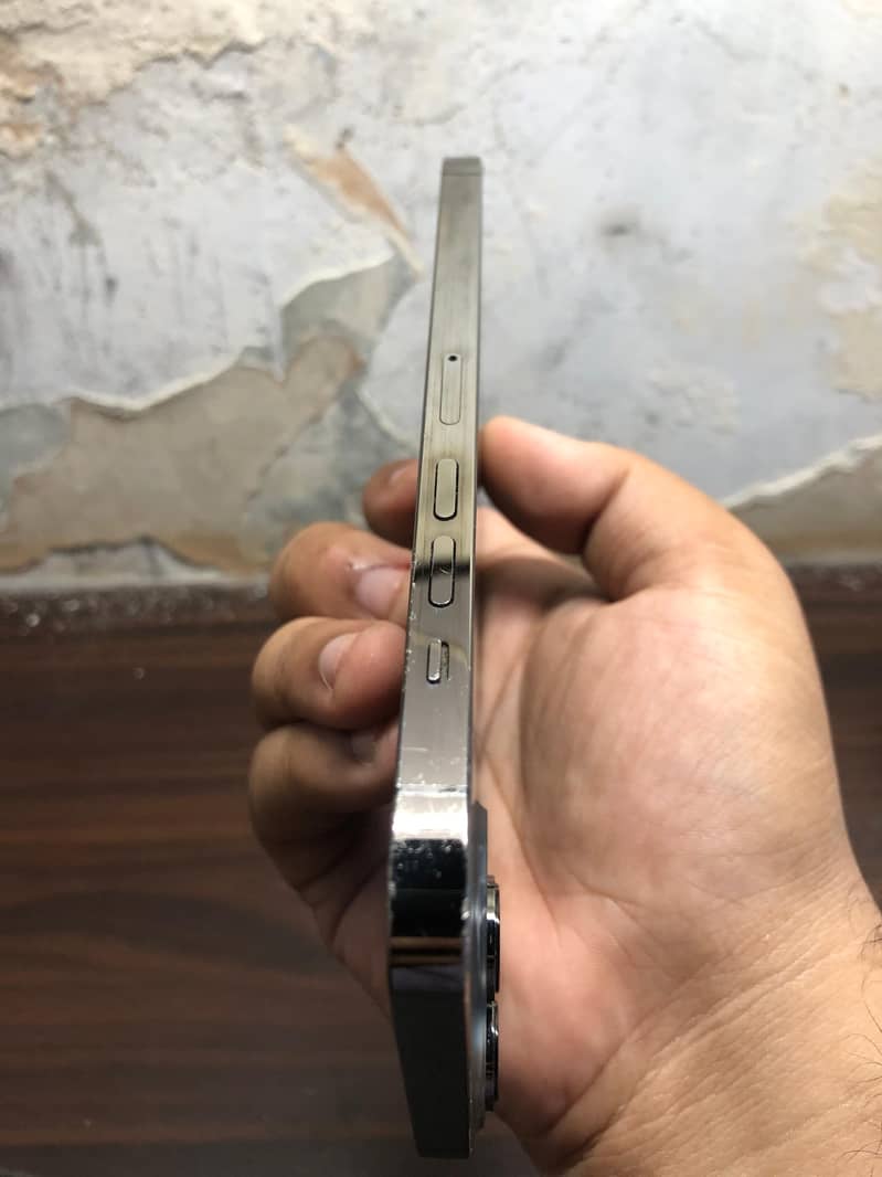 Apple iPhone 13 Pro Max 10