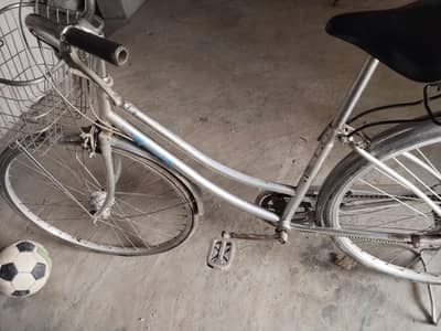jappnies scycle