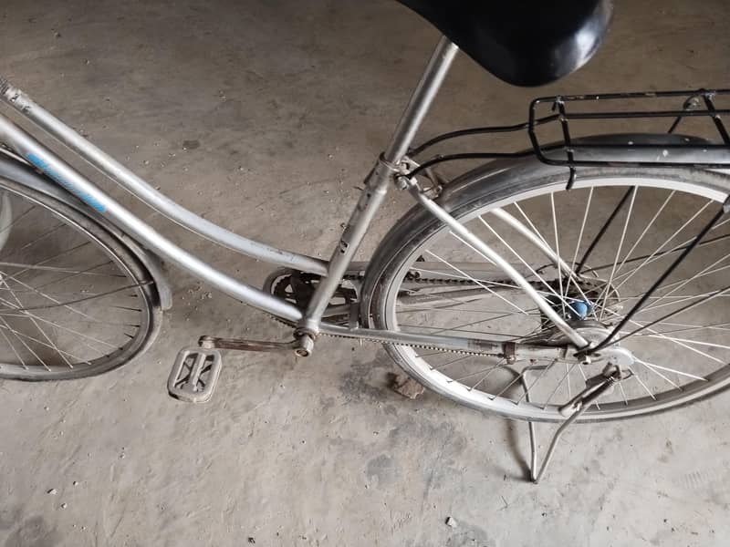 jappnies scycle 1