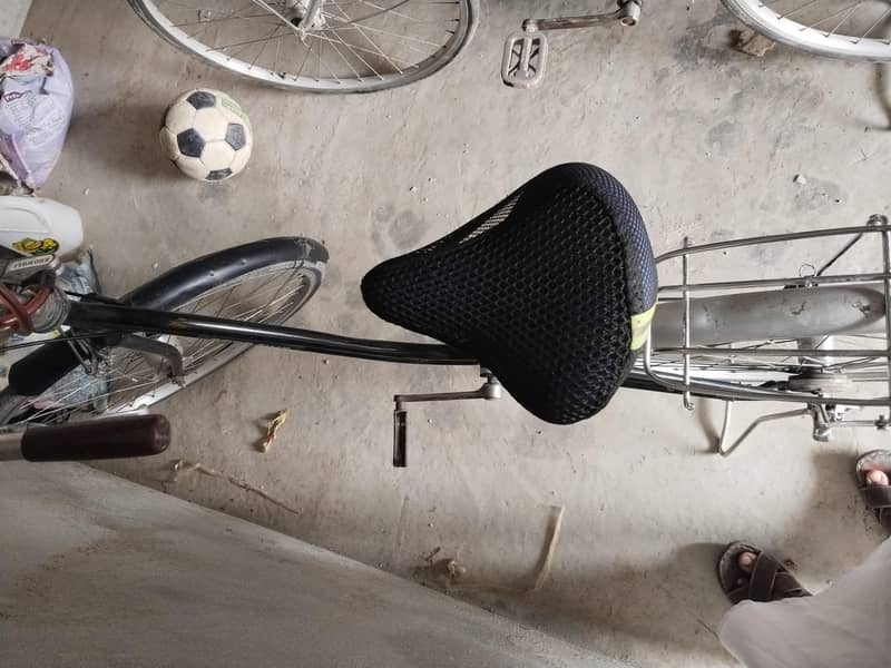 jappnies scycle 2