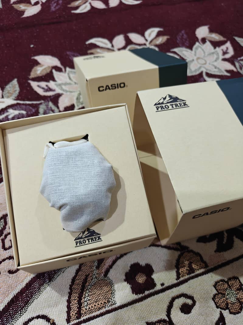 Casio Pro Trek 3513 module 2