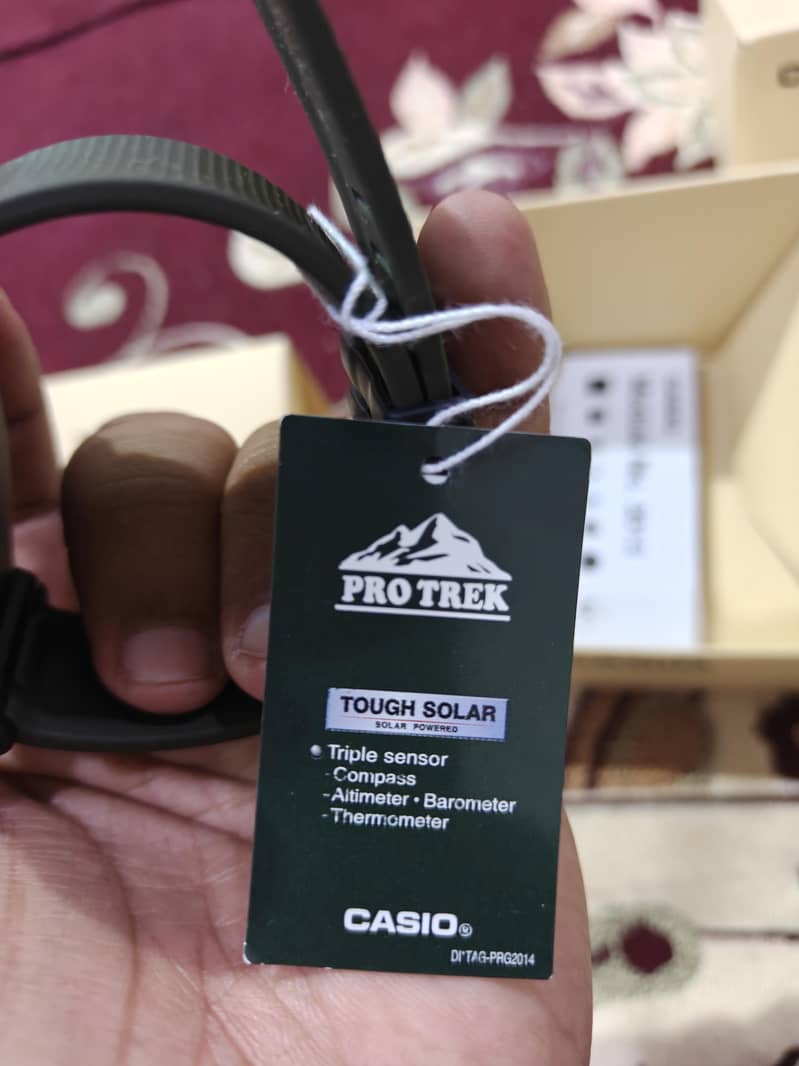 Casio Pro Trek 3513 module 4