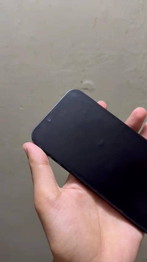 Apple iPhone 13 0