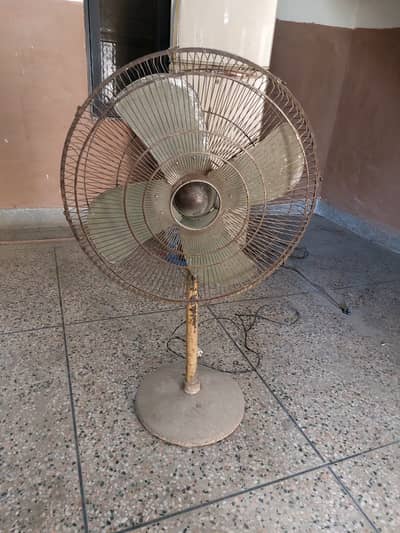 Pedestal Fan (Copper Winding)