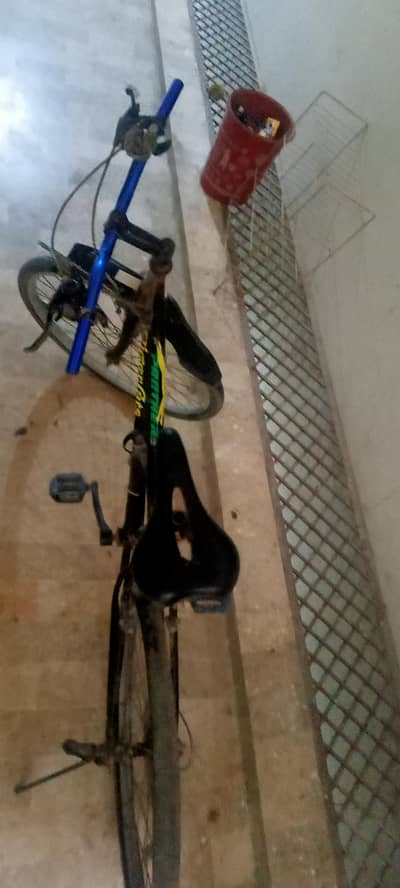 Bicycle for sale