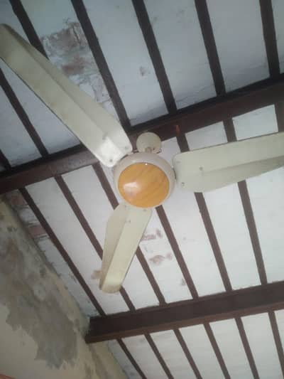 New fan pure copper