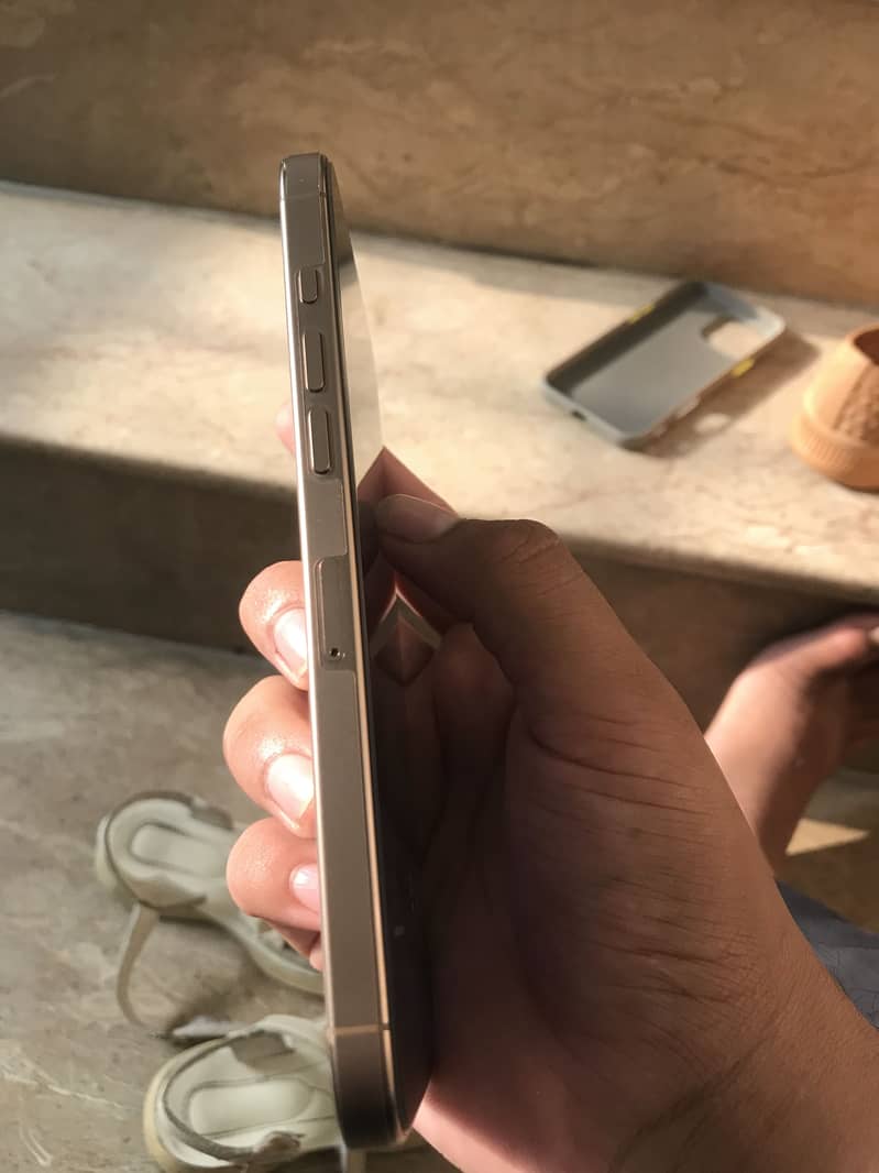 Apple iPhone 16 Pro Max 1