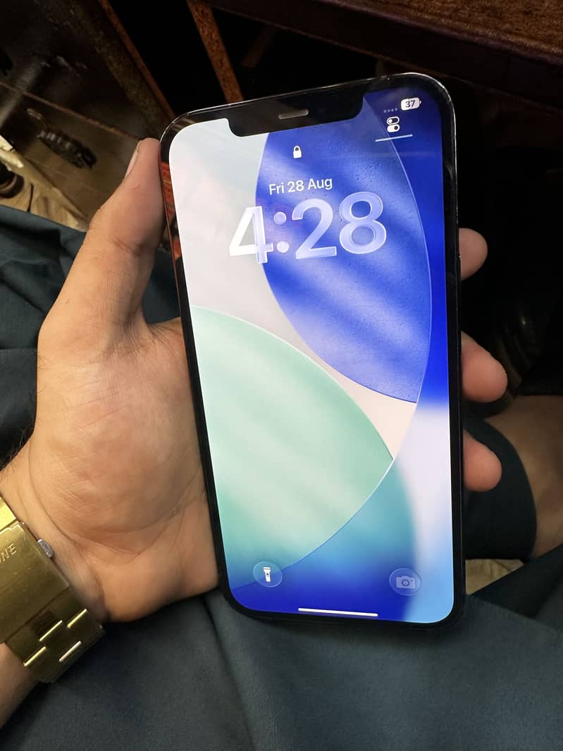 Apple iPhone 12 Pro Max 1