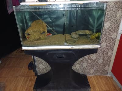 3 Feet Complete Aquarium + 4 Beautiful Live Fish | Filter + Gravel In