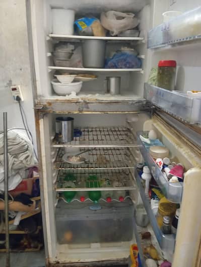 Fridge