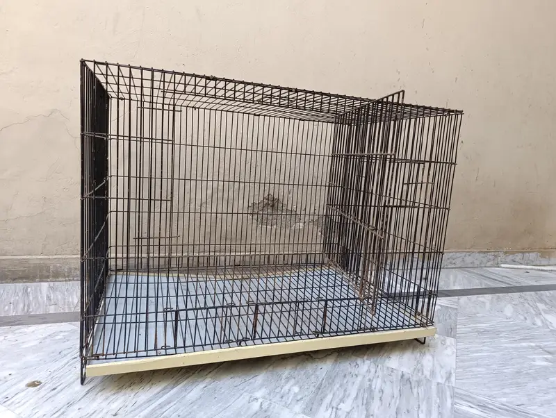 Cage for dogs cats birds and parrots — photo 6